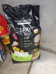 dog food