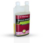 Algua Digest