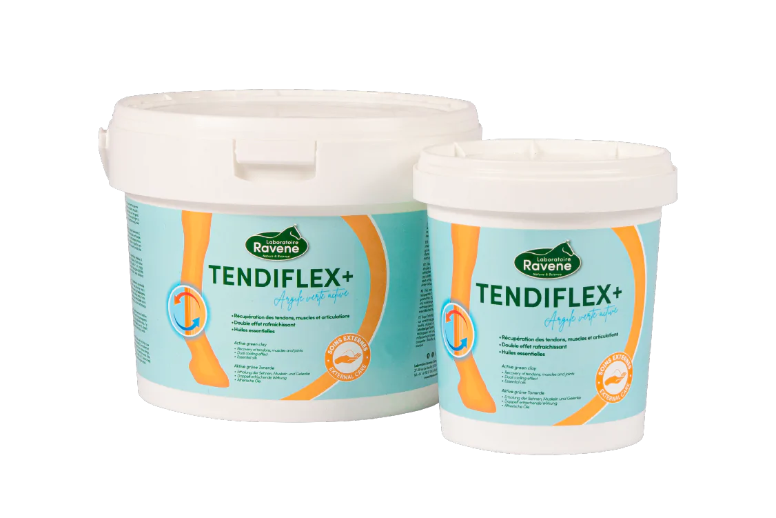 tendiflex